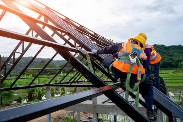 Best Roof Gutter Cleaning  in Rio, VA